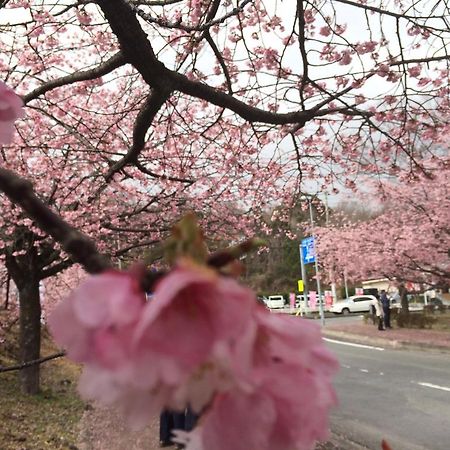 Avonlea Ito (Shizuoka) Exterior foto