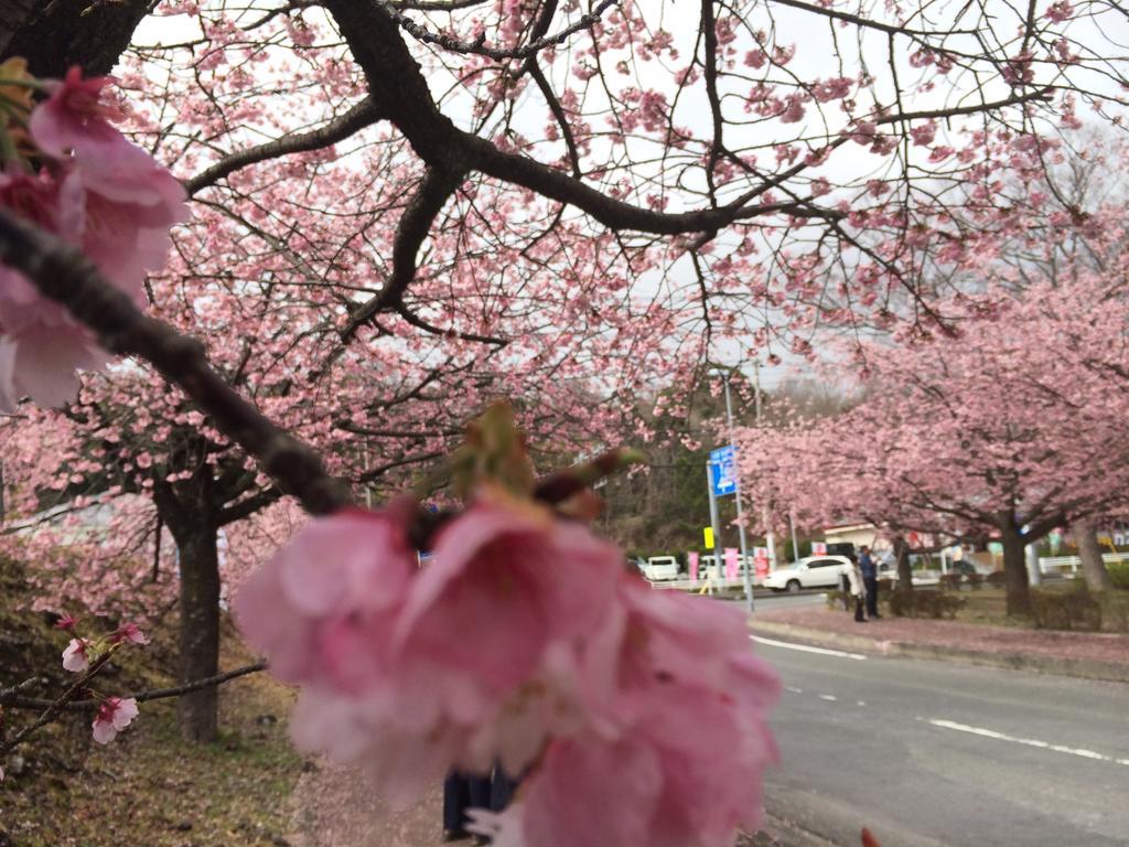Avonlea Ito (Shizuoka) Exterior foto